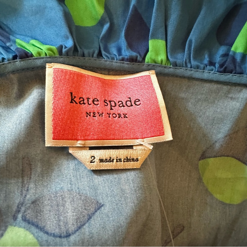 Kate Spade Blue, Pink, and Green Ruffle Dress - Picture 3 of 16